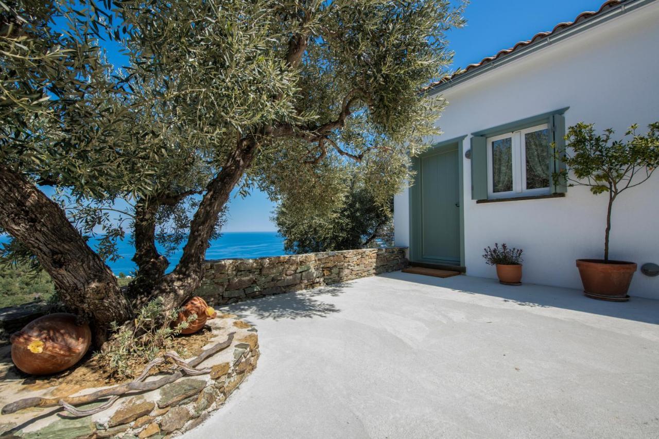 Villa Avgi *