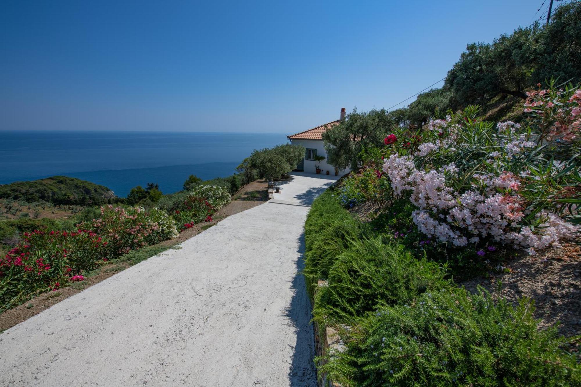 Villa Avgi *